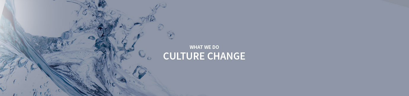 Culture Change